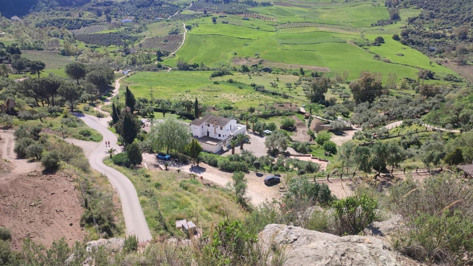 Hotel Rural Hacienda De Ronda Eksteriør billede