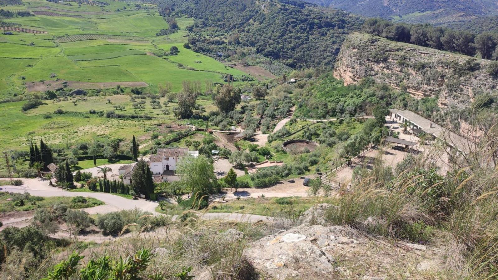 Hotel Rural Hacienda De Ronda Eksteriør billede